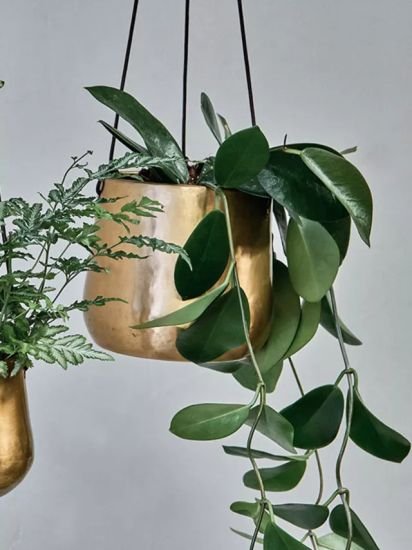 Hanging Brass Planter